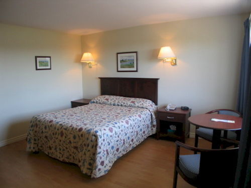 The Motel 3*